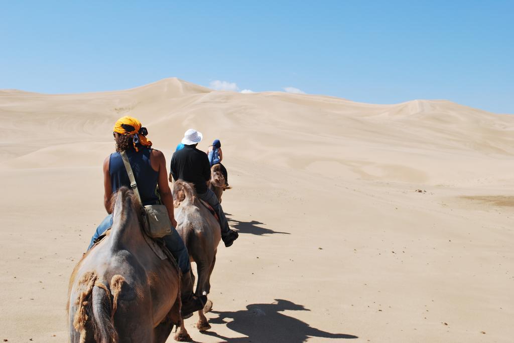 Golden Gobi Hostel & Tours Ulan Bator Eksteriør bilde