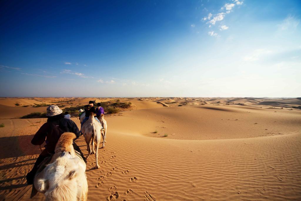 Golden Gobi Hostel & Tours Ulan Bator Eksteriør bilde